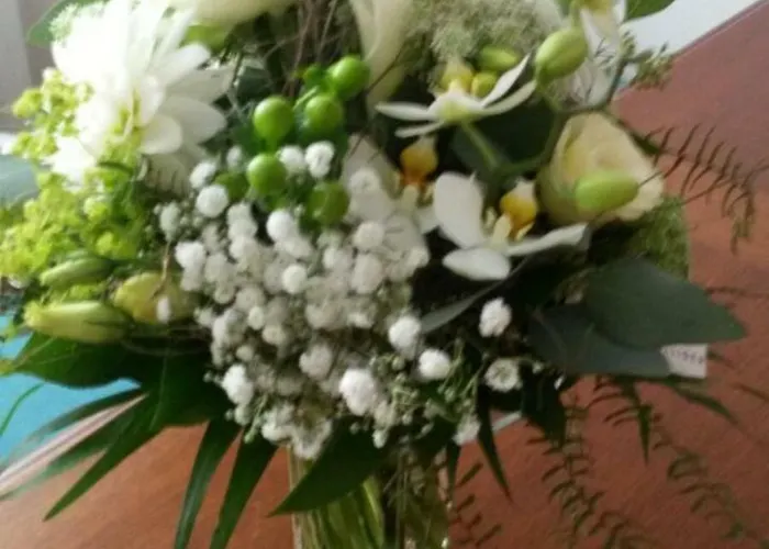 Goldenview Pensión Ocho Ríos